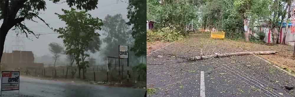 गौरेला पेंड्रा मरवाही में अचानक बिगड़ा मौसम, तेज आंधी के साथ हुई झमाझम बारिश