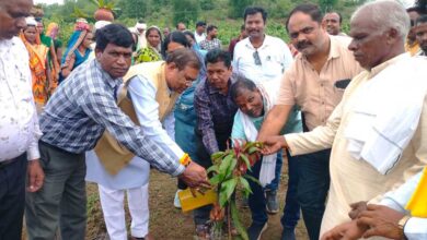 माननीय फग्गन सिंह कुलस्ते जी के द्वारा एक पेड़ मां के नाम पर पौधा रोपड़ किया गया