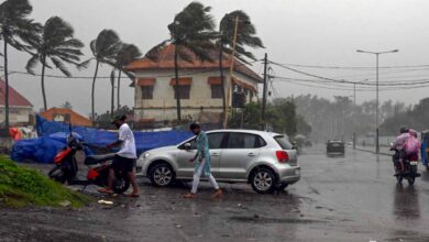 केरल में जोरदार भारी बारिश में खेत लबालब, कई जगह लैंडस्लाइड, 300 घर तबाह, IMD ने आज भी किया अलर्ट