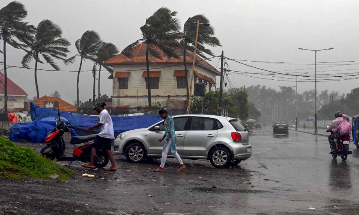 केरल में जोरदार भारी बारिश में खेत लबालब, कई जगह लैंडस्लाइड, 300 घर तबाह, IMD ने आज भी किया अलर्ट