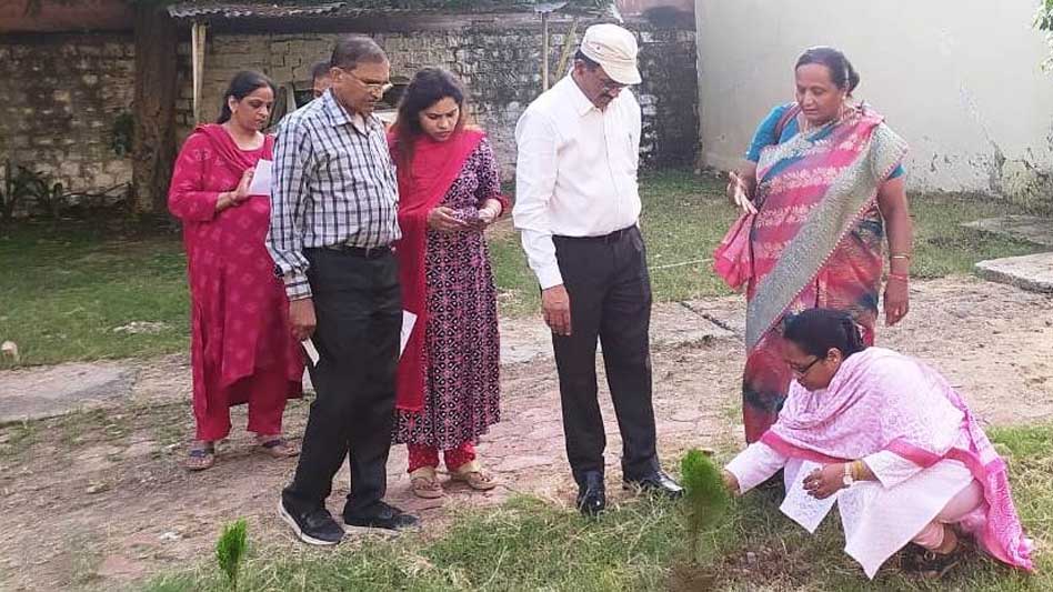 वृक्षारोपण अभियान में लगातार रोपे जा रहे पौधे