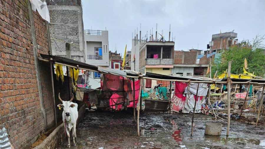 करीब आधा एकड़ जमीन पर गोशाला बनाकर किया गया था अतिक्रमण, प्रशासन ने हटाया