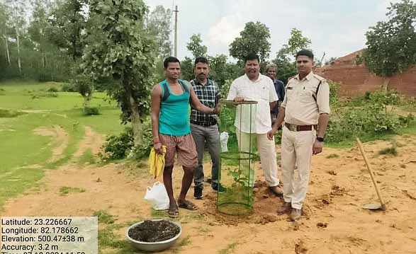 महुआ पेड़ो की घटती संख्या चिंता का विषय, डीएफओ ने चलाया महुआ बचाओ अभियान