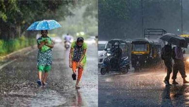 छत्तीसगढ़ में कल शाम से हो रही झमाझम बारिश, 11 जिलों में मानसून का रेड अलर्ट