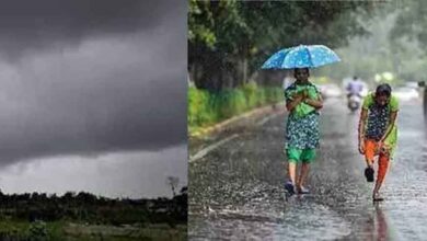 छत्तीसगढ़ मध्य-दक्षिण में मानसून मेहरबान, पांच दिनों तक हो सकती है बारिश