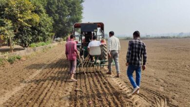 मध्य प्रदेश के मालवा में किसान का रुझान एक बार फिर गेहूं की ओर बढ़ा, बंपर पैदावार की उम्मीद