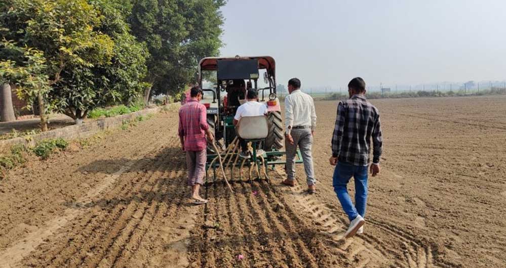 मध्य प्रदेश के मालवा में किसान का रुझान एक बार फिर गेहूं की ओर बढ़ा, बंपर पैदावार की उम्मीद