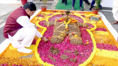 प्रकृति के सम्मान का उत्सव है गौवर्धन पूजा