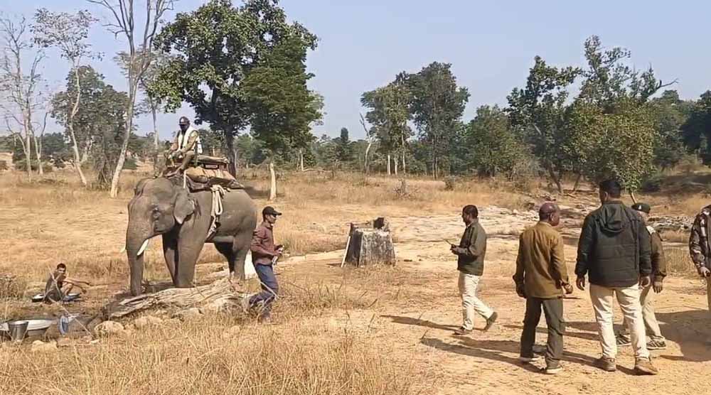 बाघ के रेस्क्यू में जुटी टाइगर रिजर्व की टीम, 4 हाथी दल और 3 परिक्षेत्र की टीम निगरानी में जुटी