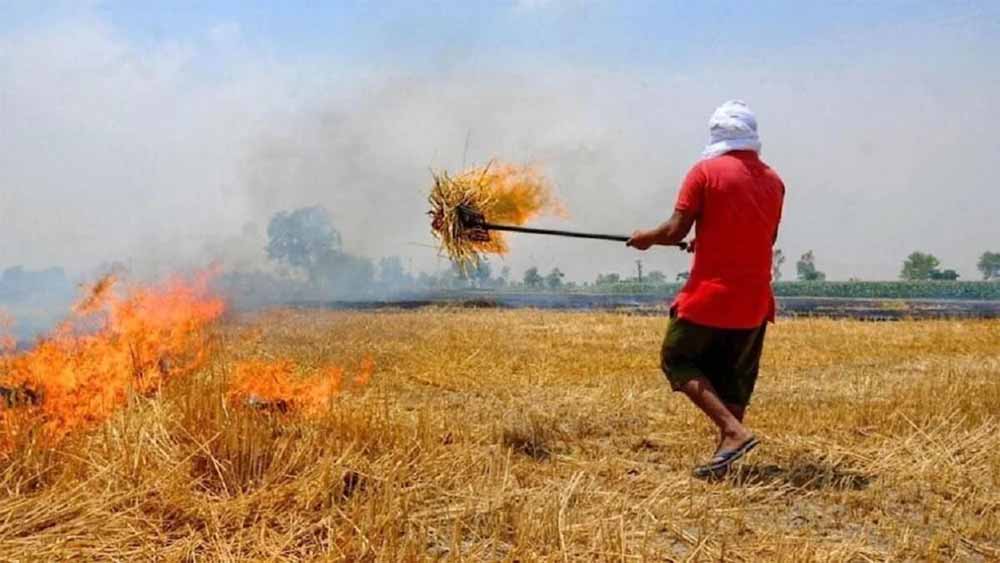 पराली के प्रबंधन की कला अपना ली है मिलावली के किसानों ने