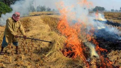 मध्य प्रदेश बार एसोसिएशन ने पराली जलाने के आरोप में पकड़े गए किसानों का केस नहीं लड़ने का फैसला लिया