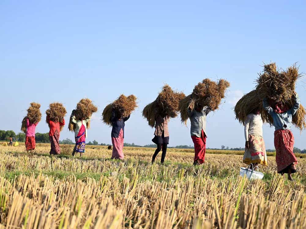 आरबीआई ने किसानों को बड़ी राहत दी, किसानों को बिना गारंटी के मिलने वाले लोन की सीमा को 2 लाख रुपये बढ़ी