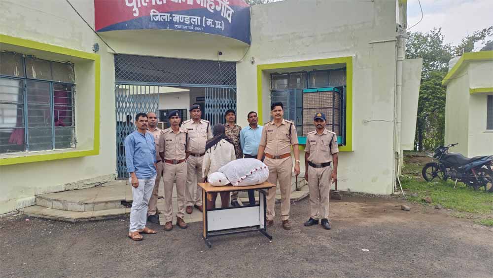 थाना मोहगांव पुलिस की बड़ी कार्रवाई- भारी मात्रा में गांजा जब्त, एक तस्कर गिरफ्तार