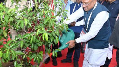 मुख्यमंत्री ने आईआईएम रायपुर परिसर में किया सुशासन वाटिका का शुभारंभ