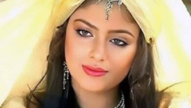 ग्लैमरस इमेज को तोड़ने के लिए ‘मिट्टी और सोना’ में निभाएं दो अलग किरदार : सोनम खान