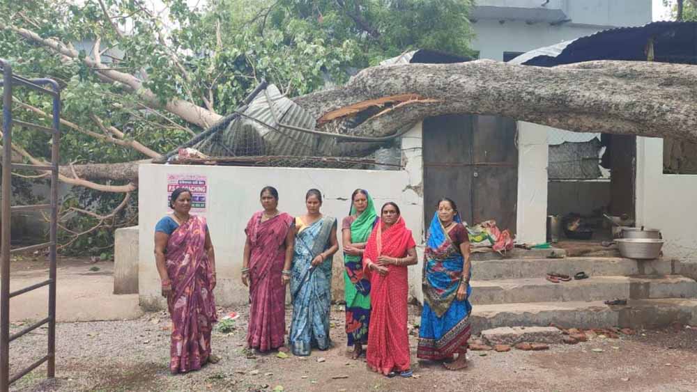 स्कूल के किचन शेड पर गिरा पीपल का पेड़, टला बड़ा हादसा