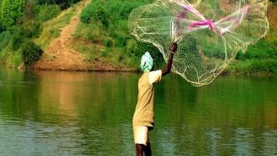 रायपुर : क्लोज सीजन में मत्स्याखेट 15 अगस्त तक पूर्णतः प्रतिबंध