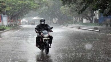 मध्यप्रदेश में दक्षिण-पश्चिम मानसून की एंट्री हो गई , बड़वानी, खरगोन, खंडवा और बुरहानपुर के रास्ते मानसून प्रदेश में पहुंचा