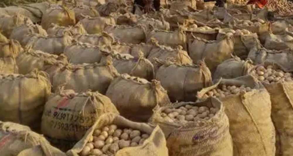 आगरा में बनेगा अंतरराष्ट्रीय आलू केंद्र, मोदी कैबिनेट ने दी मंजूरी