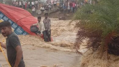 श्योपुर में खिरखिरी गांव की नदी उफान पर,नाला पार कर रही ट्रैक्टर-ट्रॉली बही