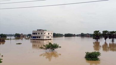 MP -गुजरात समेत 19 राज्यों में बारिश का ऑरेंज अलर्ट, ओडिशा के बालासोर में बाढ़ से 50 हजार लोग प्रभावित