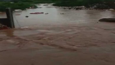 फुलफॉर्म में आया मॉनसून, मध्य प्रदेश के कई जिलों में मूसलाधार बारिश, मुरैना-टीकमगढ़ में बाढ़ जैसे हालात, आज भी रेड अलर्ट.