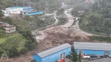 कुल्लू : सैंज घाटी में फटा बादल, सैलाब में बहते दिखे पेड़, नदी भी उफनाई,मंत्री-DC फंसे