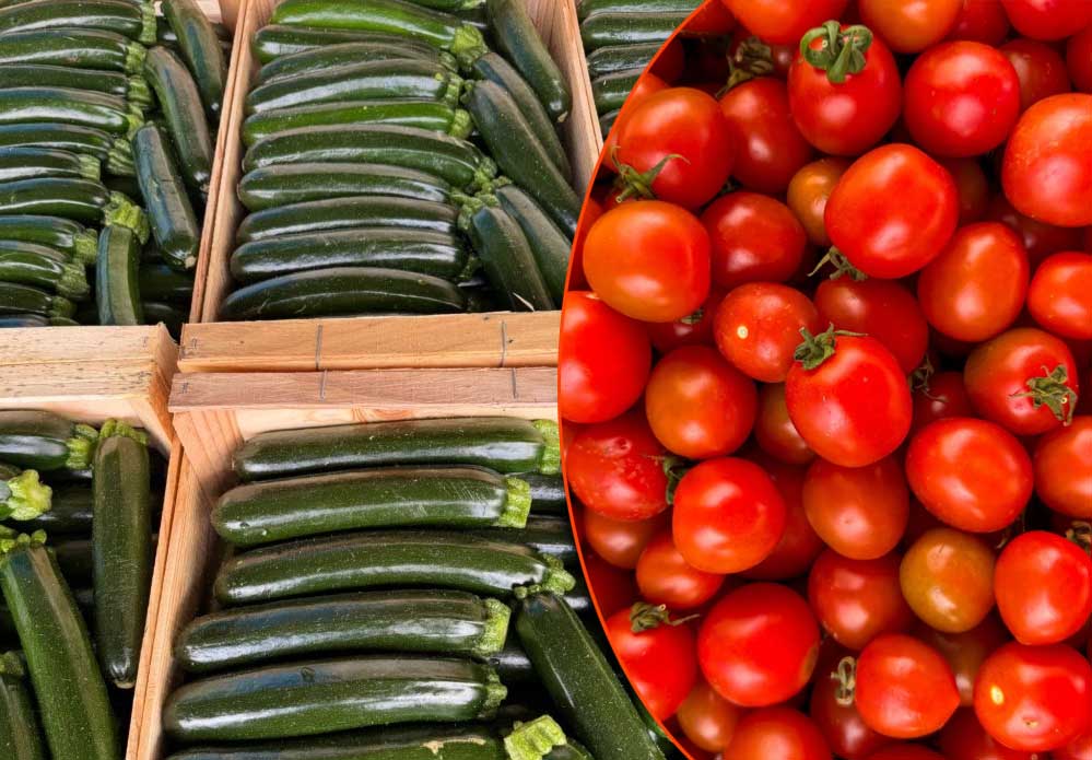 मानसून की बारिश का खुमार चढ़ा, इधर सब्जी मंडियों में हाहाकर मचा, टमाटर 40, खीरा 50 रुपए पार