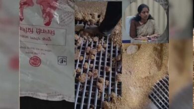 रीवा में गर्भवती महिलाओं को दिए जाने वाले पोषण आहार को पैरों से कुचलकर बनाये जाने का एक वीडियो सामने आया