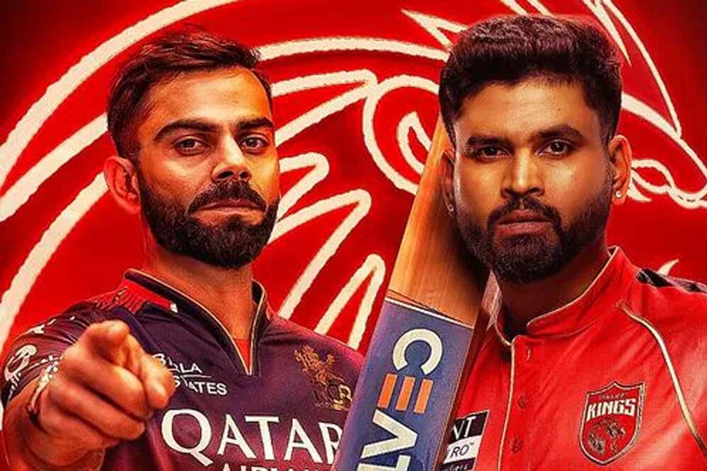 इस बार IPL को मिलेगा नया चैंपियन, आरसीबी-पंजाब में खिताब की टक्कर, जानें दोनों टीमों का ट्रैक रिकॉर्ड