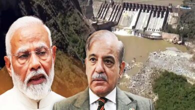 भारत ने चिनाब के जल प्रवाह में रोकने से खरीफ फसलों और  विशेष रूप से चावल पर खतरा मंडरा रहा