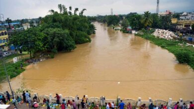 पूर्वोत्तर राज्यों में भारी बारिश, बाढ़ और भूस्खलन से तबाही ,असम, मणिपुर, सिक्किम और अरुणाचल प्रदेश में 34 लोगों की मौत