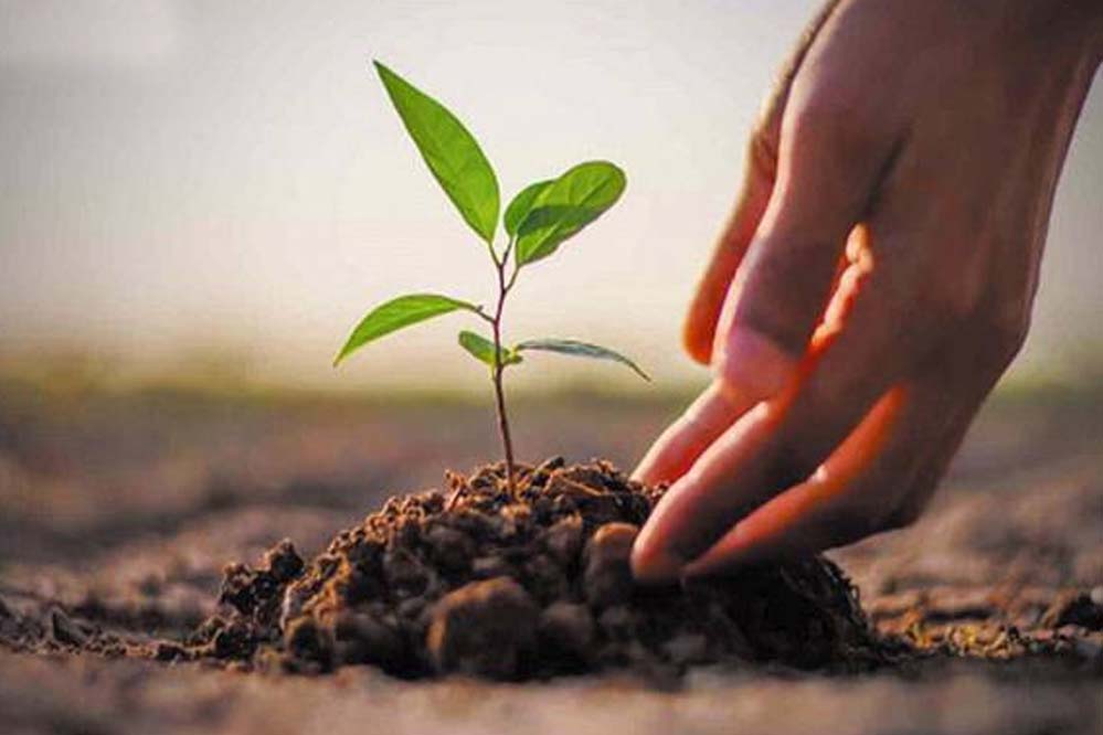 स्कूल शिक्षा विभाग 5 जून से एक पेड़ मां के नाम 2.0 अभियान तहत प्रदेशभर में 50 लाख पौधे लगाएगा