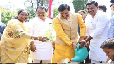 मुख्यमंत्री डॉ. यादव ने सिंदूर का पौधा रोपा