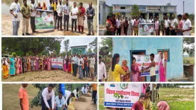 जिले में पर्यावरण दिवस पर 6300 पौधे रोपे गए, 15 जून तक 15,000 आवासों में वृक्षारोपण का लक्ष्य