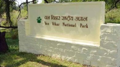 वन विहार में किंग कोबरा की मृत्यु