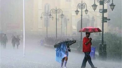 अगले 36 घंटे भारी: इन राज्यों में 25-30 जून तक बारिश का रेड अलर्ट