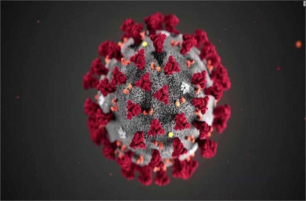 जम्मू-कश्मीर में वीरवार को कोरोना के 2 नए मामलों की हुई पुष्टि, स्वास्थ्य विभाग के फूले हाथ-पाव जम्मू-कश्मीर में वीरवार को कोरोना के 2 नए मामलों की हुई पुष्टि, स्वास्थ्य विभाग के फूले हाथ-पाव