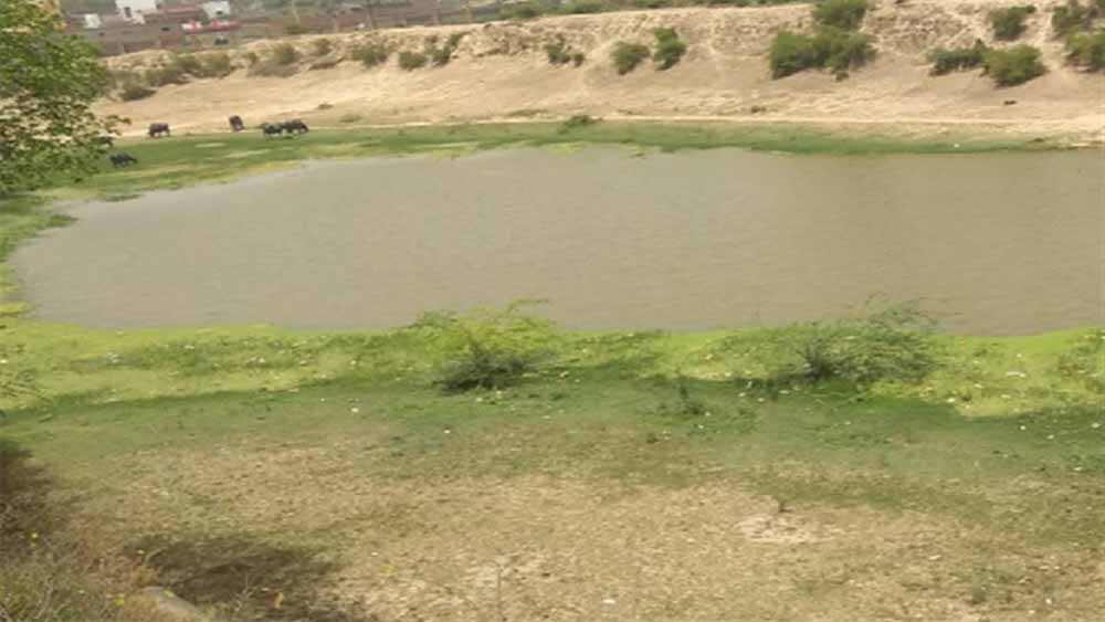 खेत-तालाब, अमृत सरोवर से 1.67 लाख हेक्टेयर से अधिक में होगी सिंचाई, खिलेंगे किसानों के चेहरे