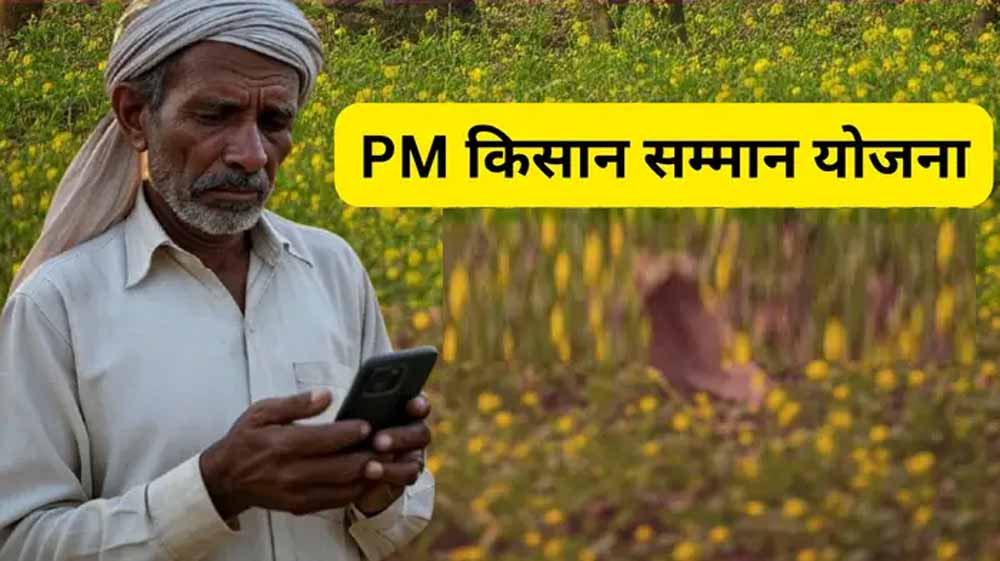 पीएम किसान सम्मान योजना की 20वीं किस्त के आज खाते में नहीं आएंगे 2000 रुपये, करोड़ों किसानों का इंतजार बढ़ा