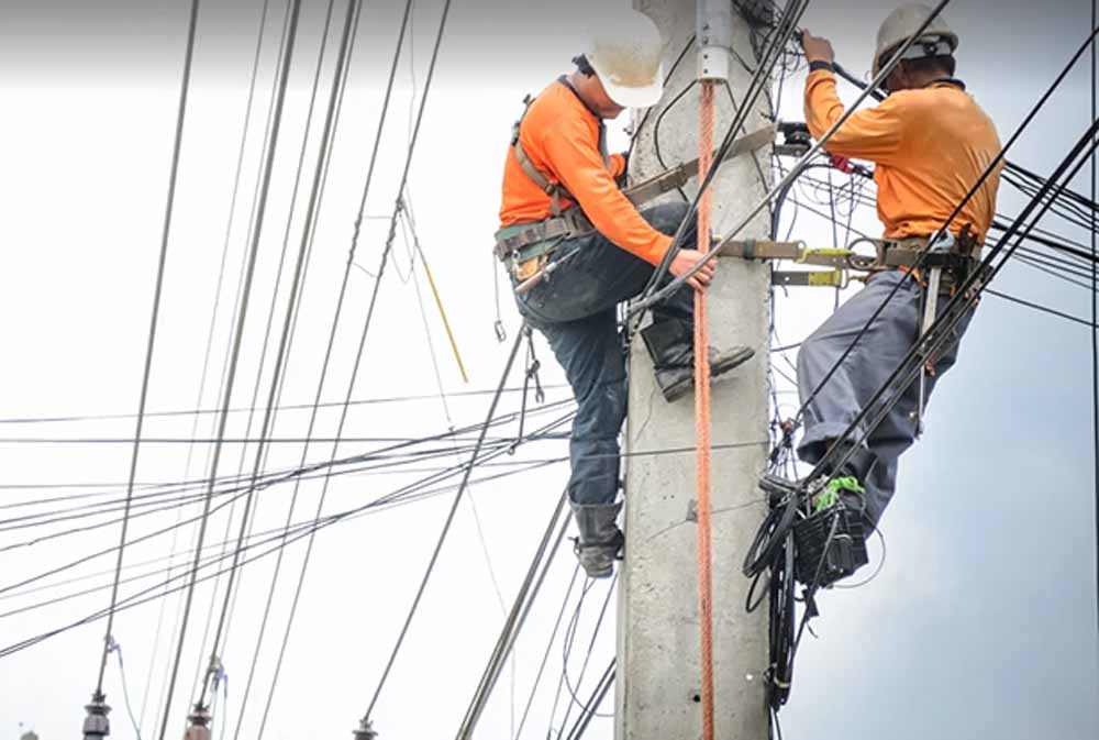 एमपी ट्रांसको में विभिन्न पदों पर चयनित अभ्यर्थियों के दस्तावेज़ सत्यापन 1 जुलाई से