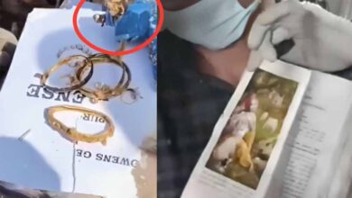 अहमदाबाद प्लेन हादसे के बीच ये चमत्कार, गीता के बाद अब भगवान कृष्ण की मूर्ति