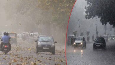 बंगाल में लो प्रेशर एरिया बनने से कम हुई मानसून आने की स्पीड बंगाल में लो प्रेशर एरिया बनने से कम हुई मानसून आने की स्पीड