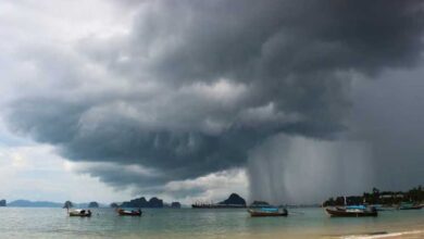 बिहार से बंगाल तक होगी बारिश, MP-CG में भी बरसेंगे बादल; तपती गर्मी के बीच IMD ने दी गुड न्यूज