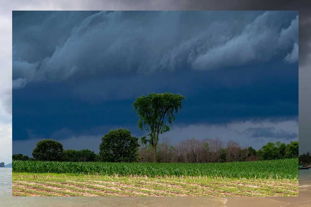 रायपुर में सुबह से बादल छाए, 24 घंटे में दुर्ग में सबसे ज्यादा 60 मिमी बारिश हुई, कोरबा-रायगढ़, मुंगेली जिले भीगेंगे