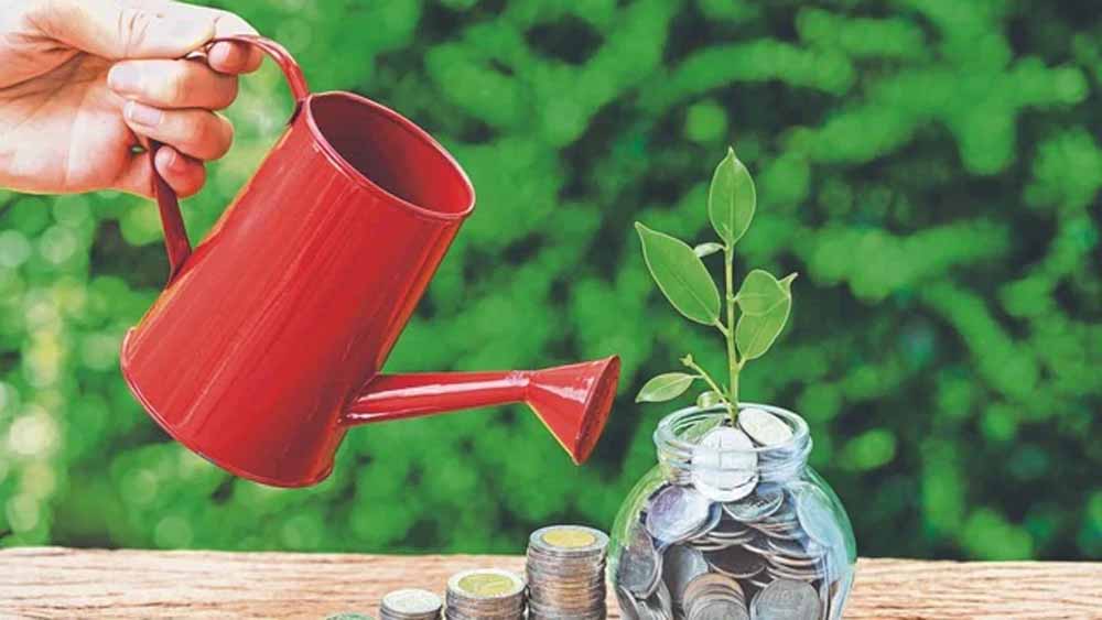 छोटी बचत योजनाओं पर घट सकता है ब्याज! सुकन्या-PPF खाताधारकों के लिए अलर्ट