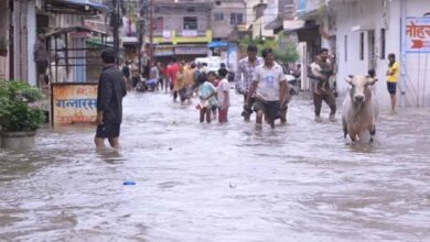 छत्तीसगढ़ में मॉनसून मेहरबान: अब तक 595.2 मिमी औसत बारिश दर्ज