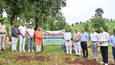वन परिक्षेत्र बैढ़न में सांसद विधायक ने एक पेड़ मॉ के नाम अभियान के तहत किया पौधा रोपण