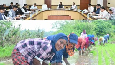 सरकार के नीतिगत फैसलों ने बढ़ाया छत्तीसगढ़ के किसानों का मान सरकार के नीतिगत फैसलों ने बढ़ाया छत्तीसगढ़ के किसानों का मान