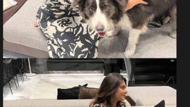 जेनिफर विंगेट का दिल चुराने वाला कौन? एक्ट्रेस ने फोटो शेयर कर किया खुलासा